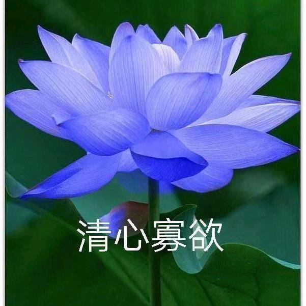 存在