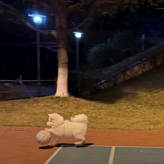 故地重游逝去已不回