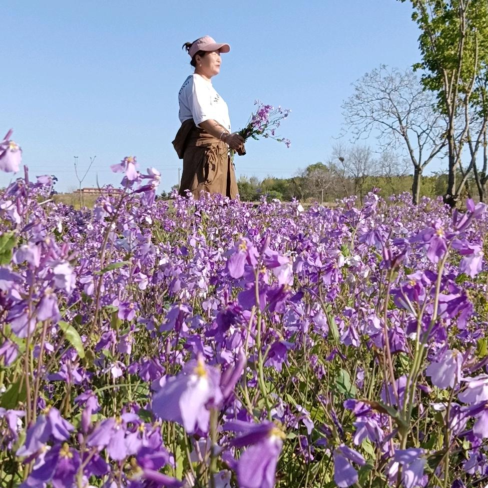 ❤️❤️萍姐❣️