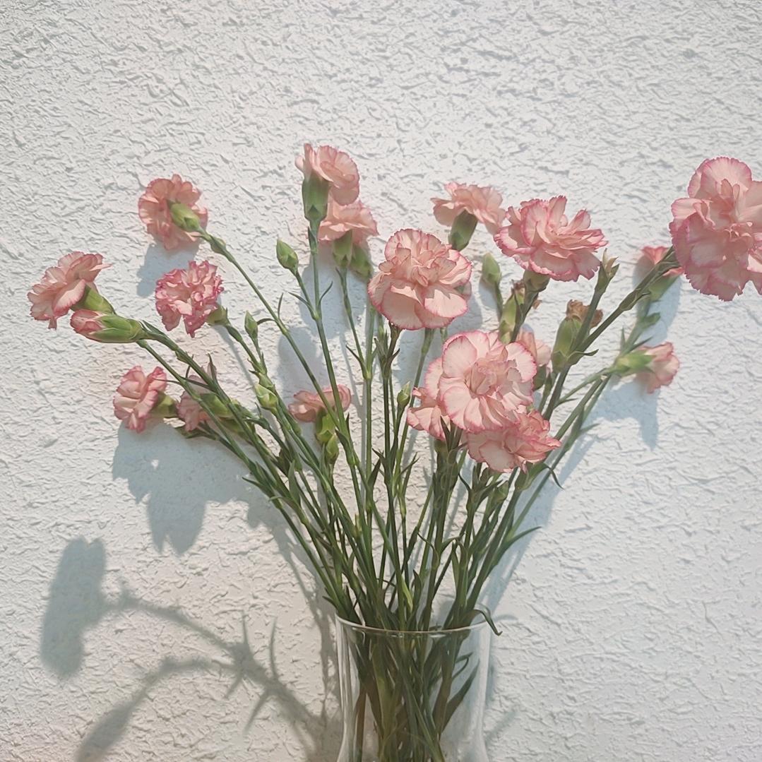 小雅吖