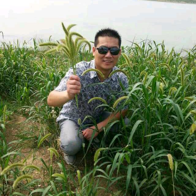 田园守望者（大白菜