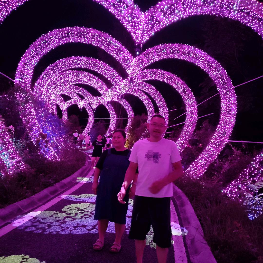 沈财有道
