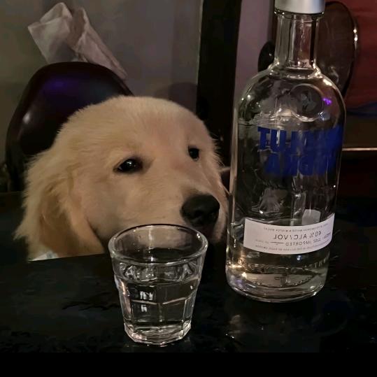，