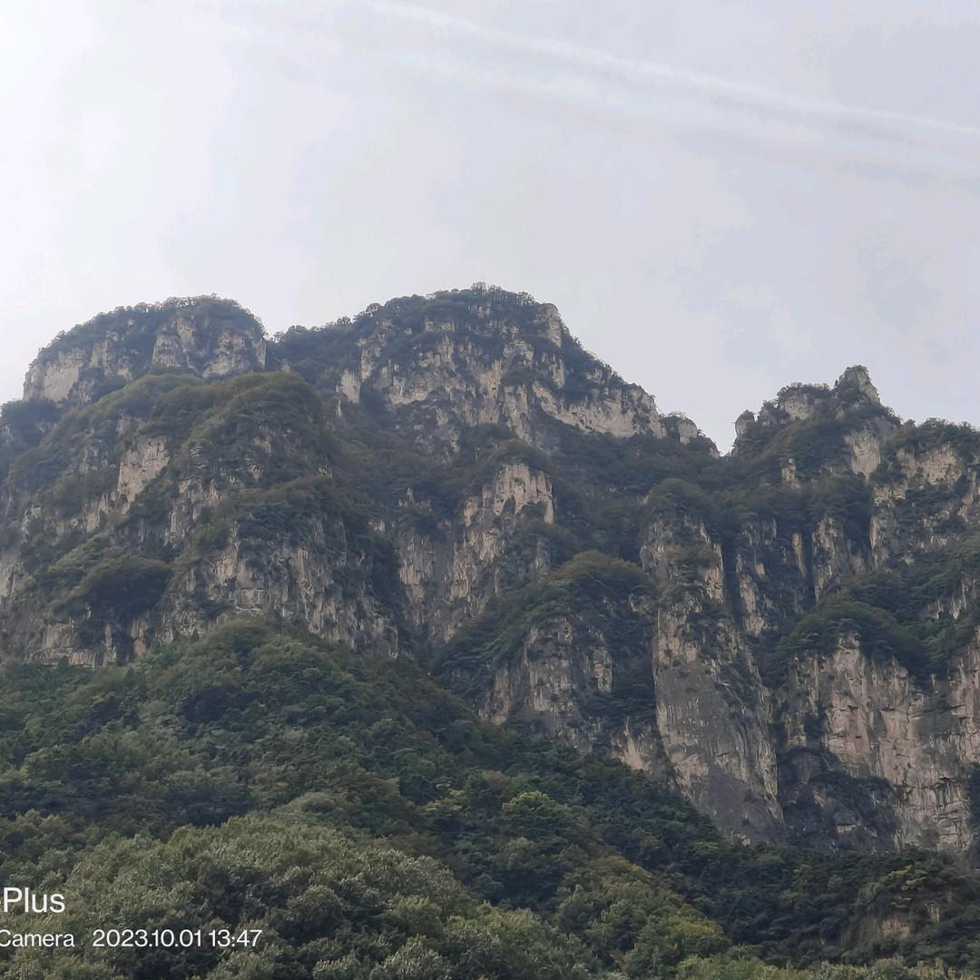 浪仔
