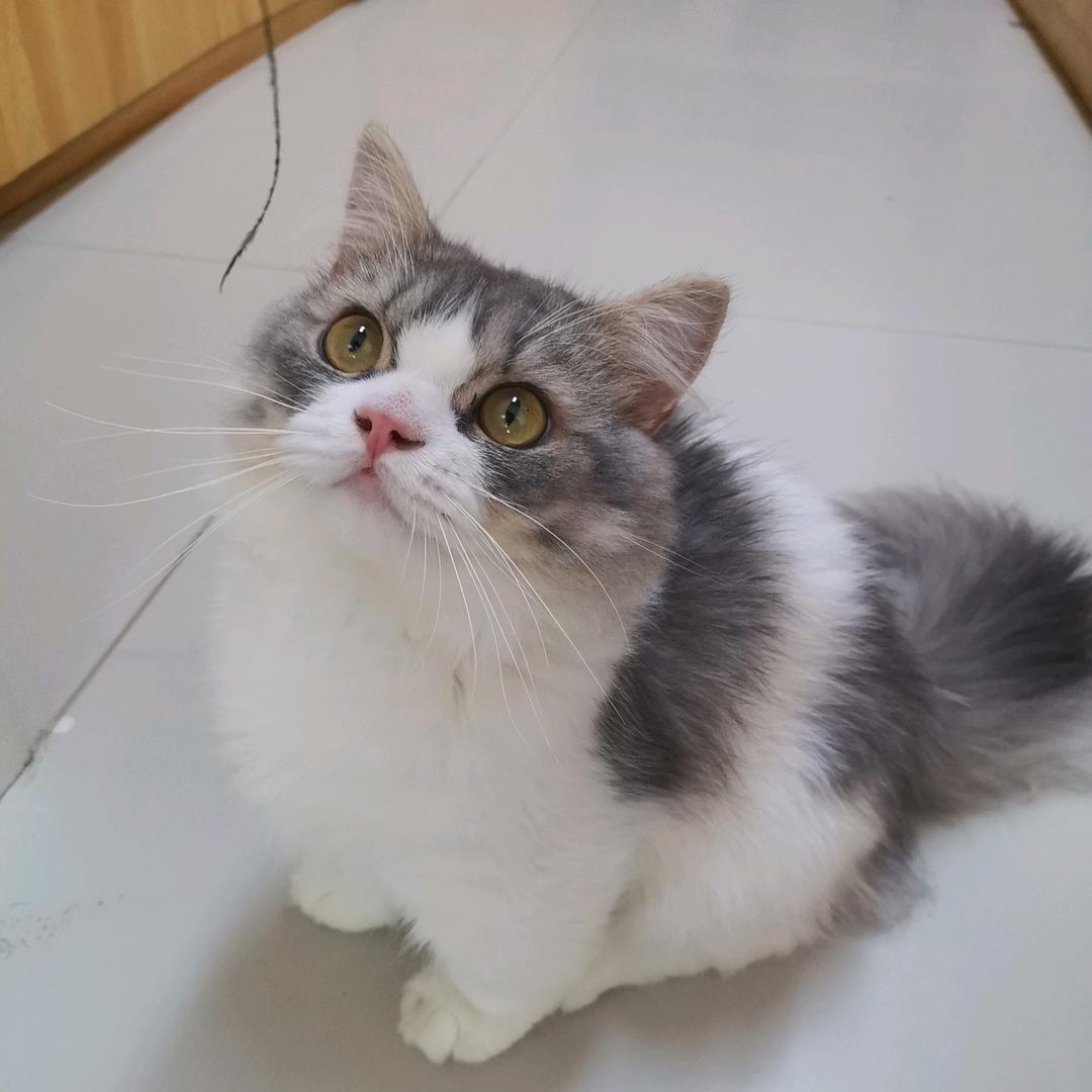 掌心虫趣活体昆虫互动馆(荆街店)官方号