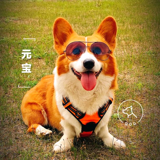 冶哥户外