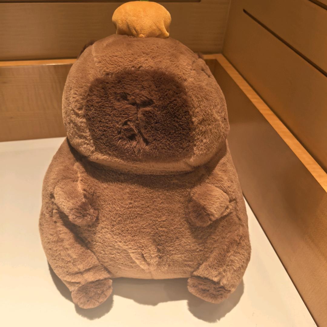 宁静_212689885