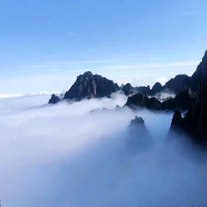 彬彬团购.