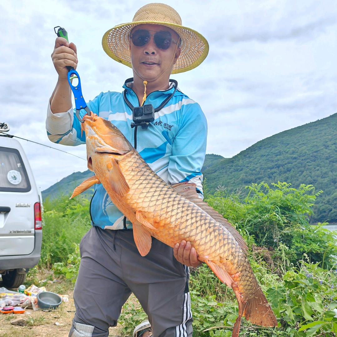 头戴大红花（阿呆）🎣