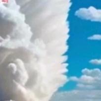 🍀好运相伴🍀