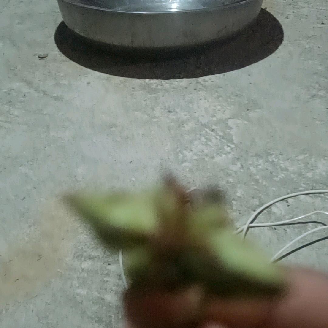 在家好无聊