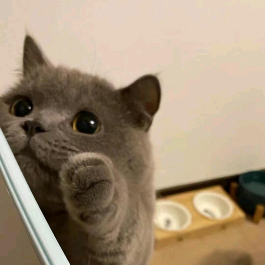 阿诺