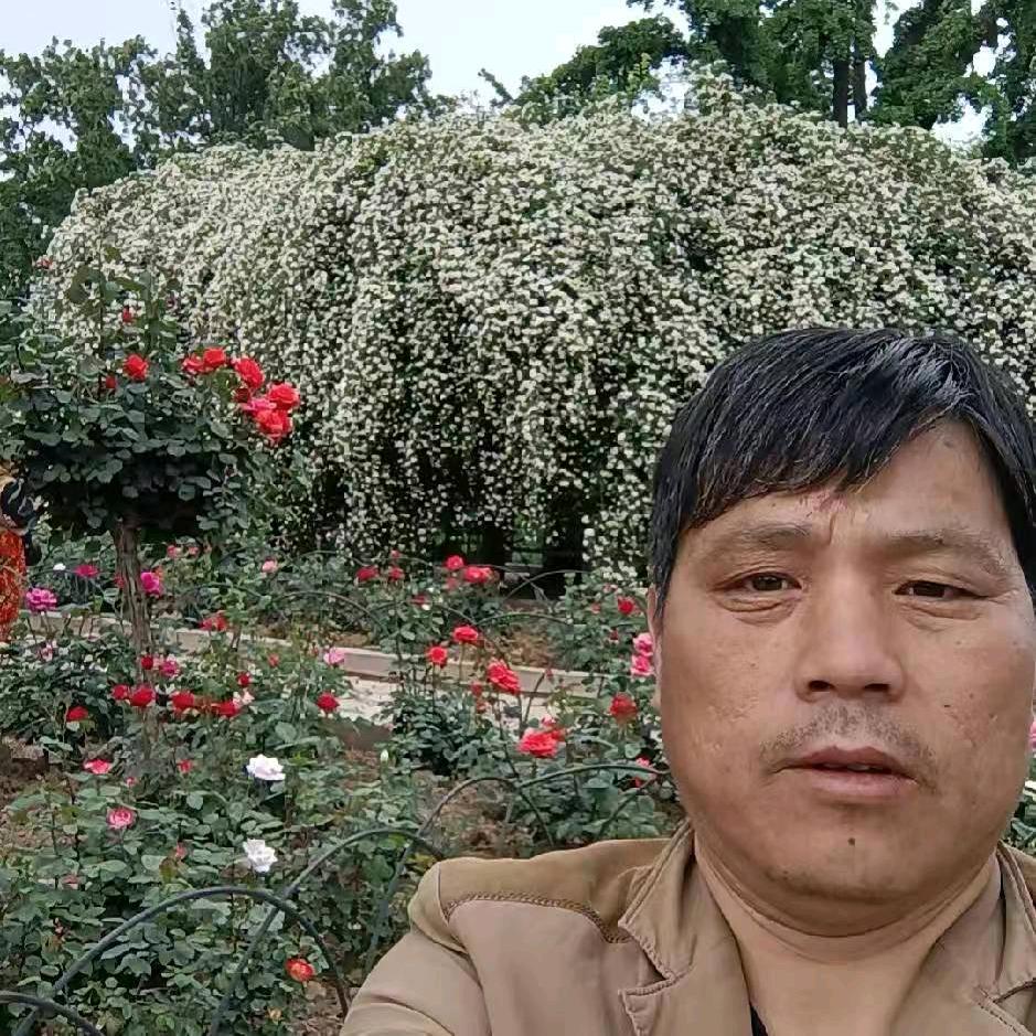 罗集贯敏车业