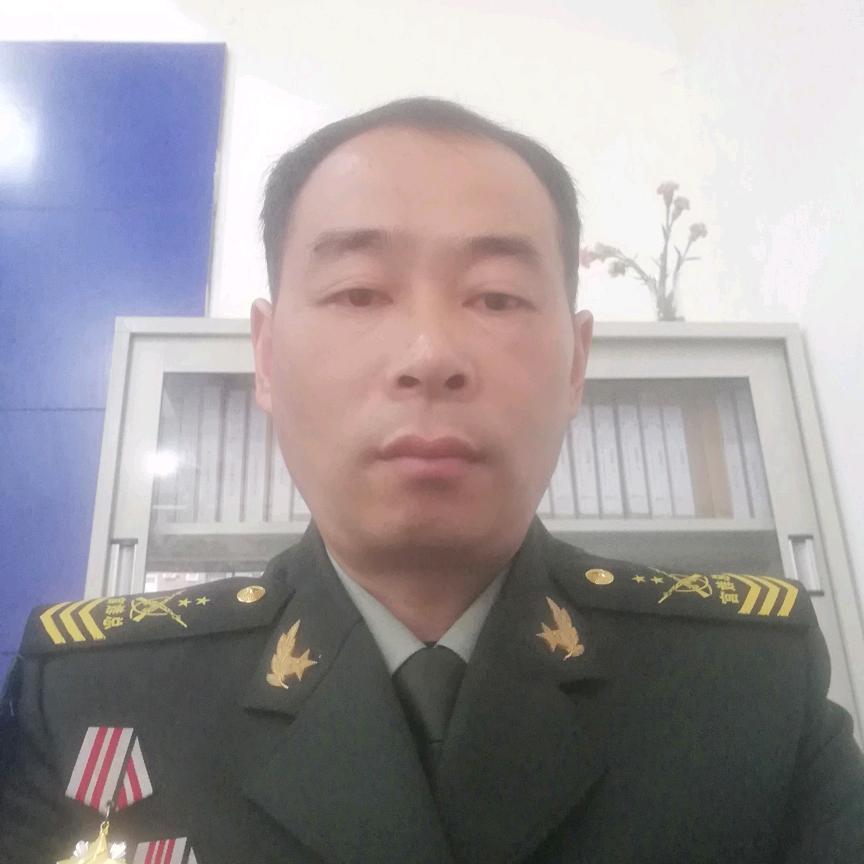林中飞虎
