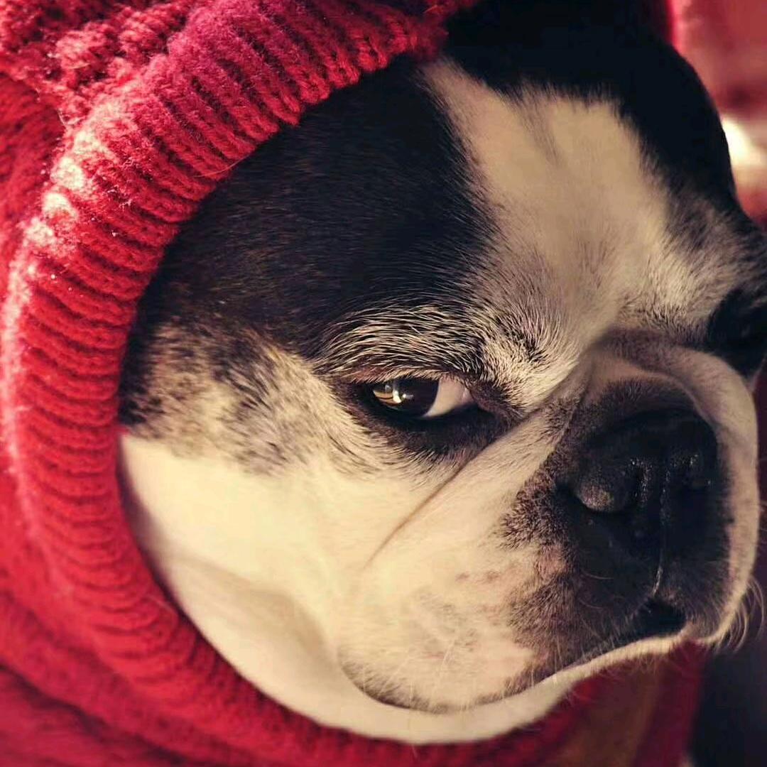 ⚡️66w 快充⚡️