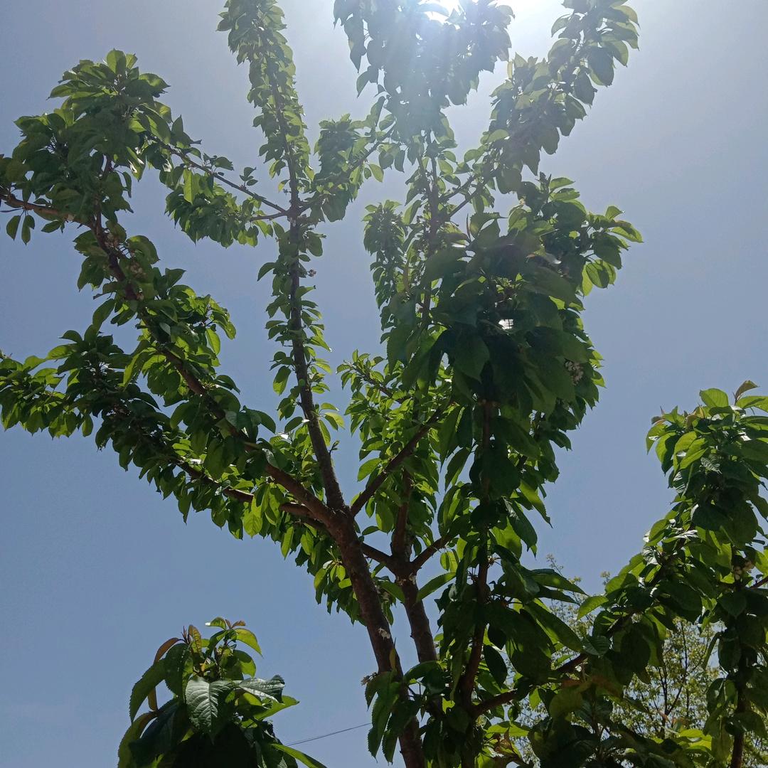 远去的背影