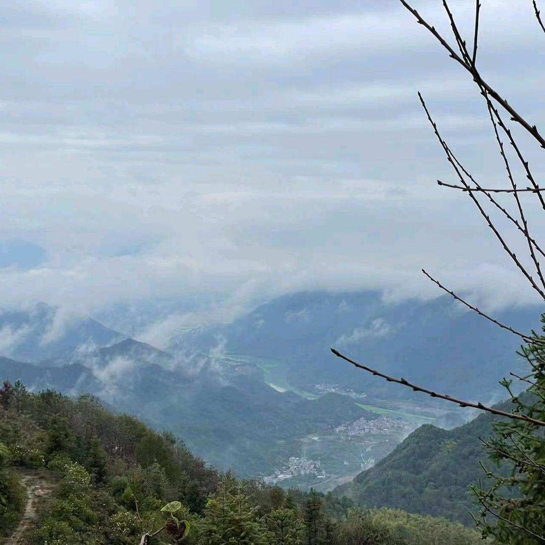 紫气东来天台