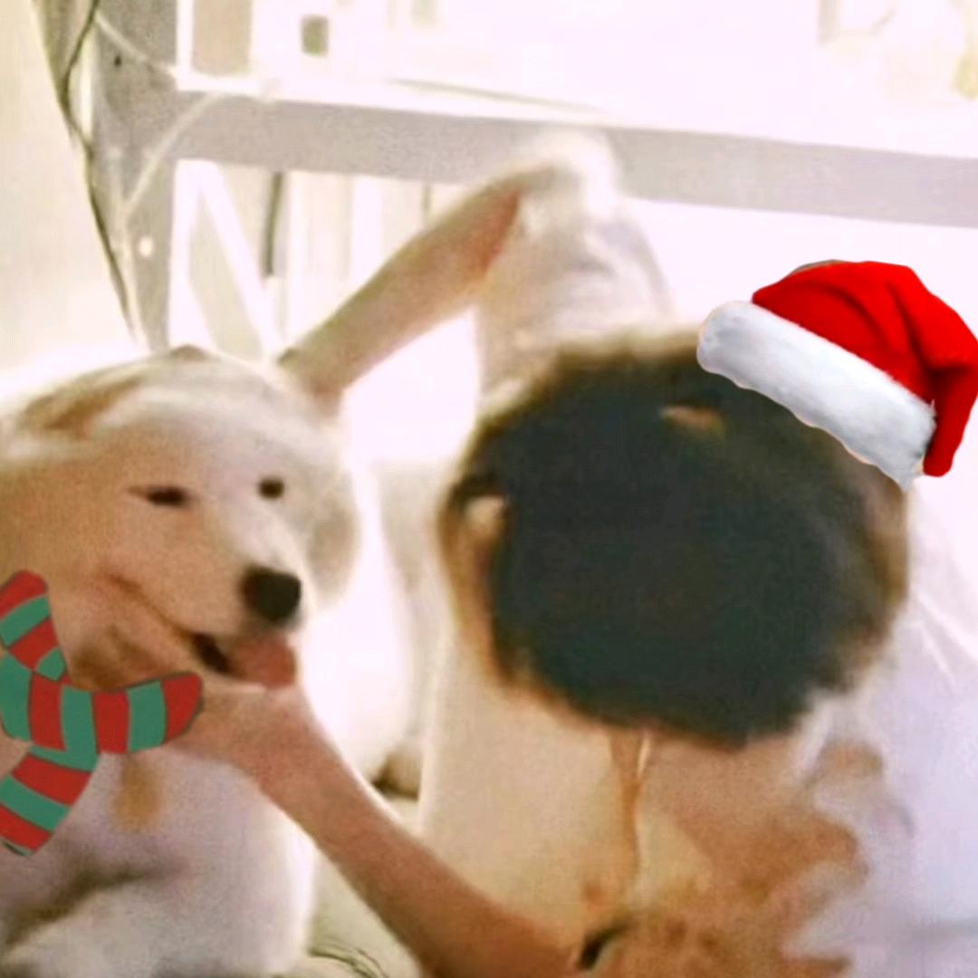 圆圆（鸟巢见过双担版）