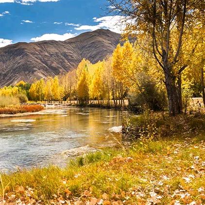 广州枝丽咨询有限公司生活日常宣传