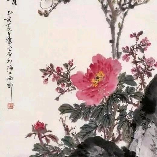 美大姐健康管理