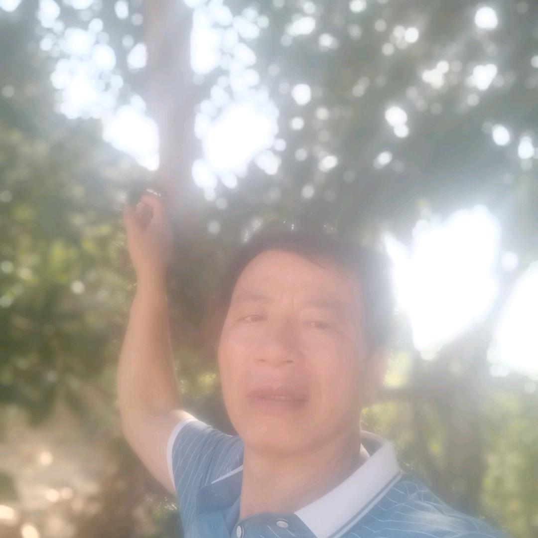 千里马