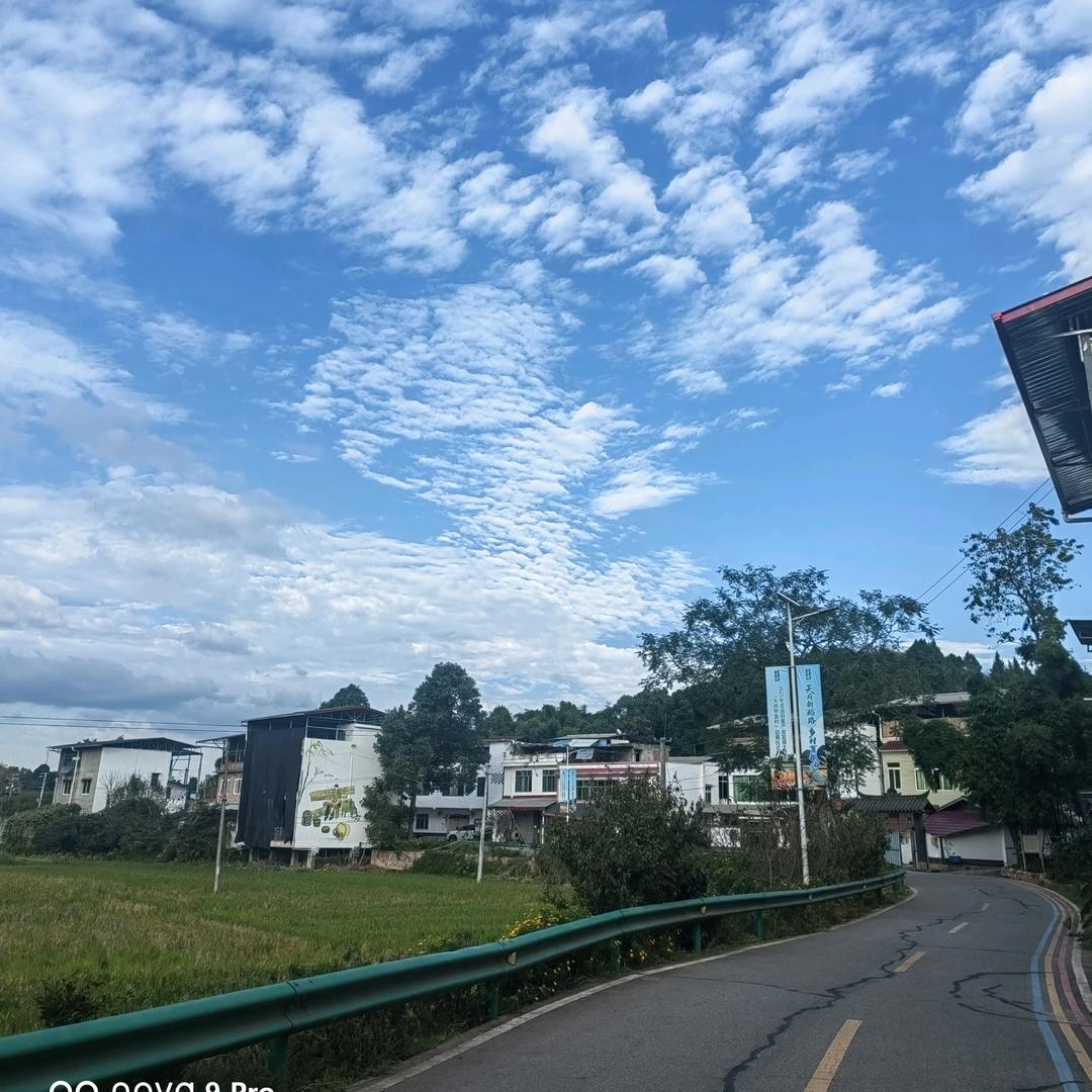 农村人