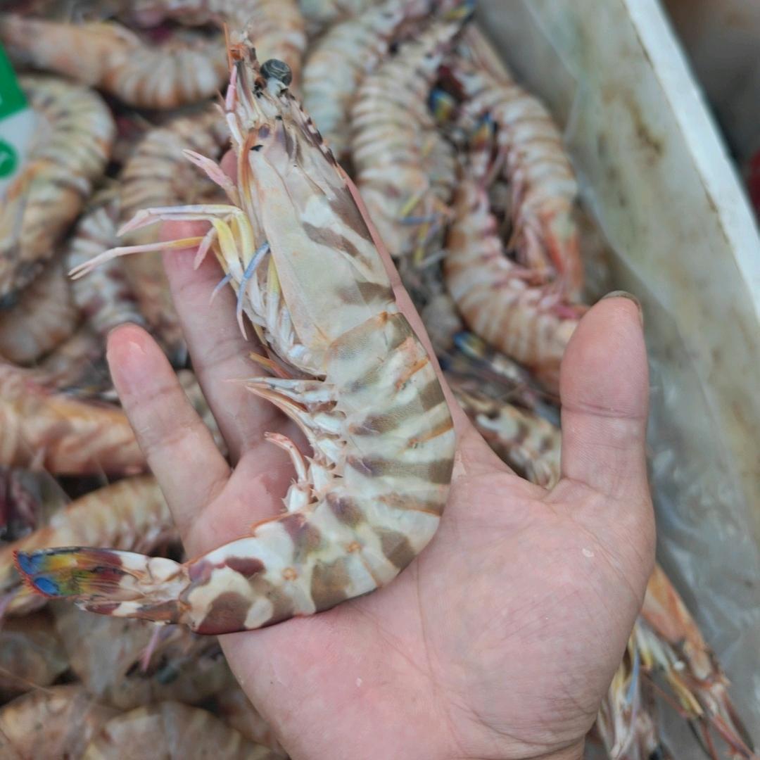 生鲜礼盒