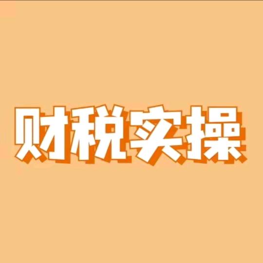 财税实操—燕子老师