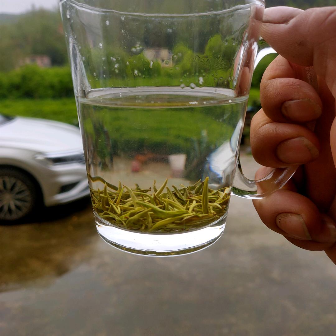 茶🍵农
