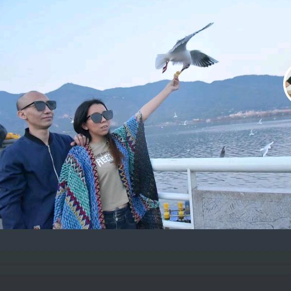 哈戳戳