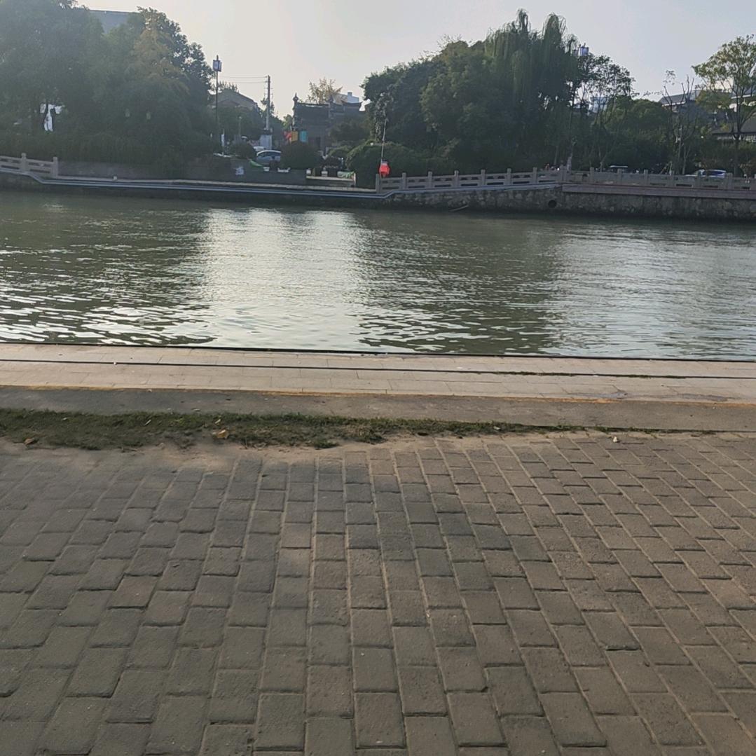 大邳象哥
