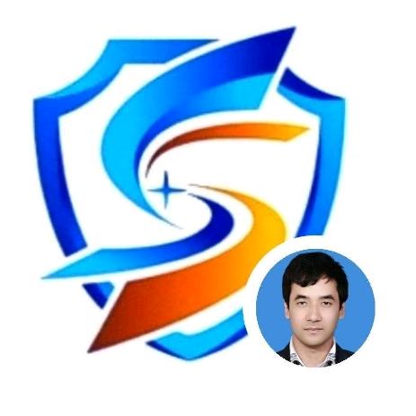 新疆圣盾电子商贸有限公司