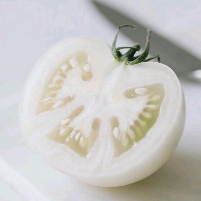 白心西红柿
