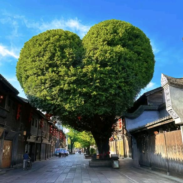 堂家巷子食品工厂