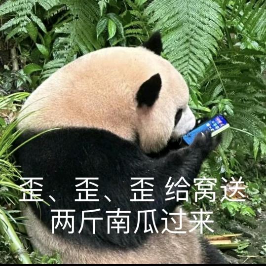 晓只暴富猫🐼
