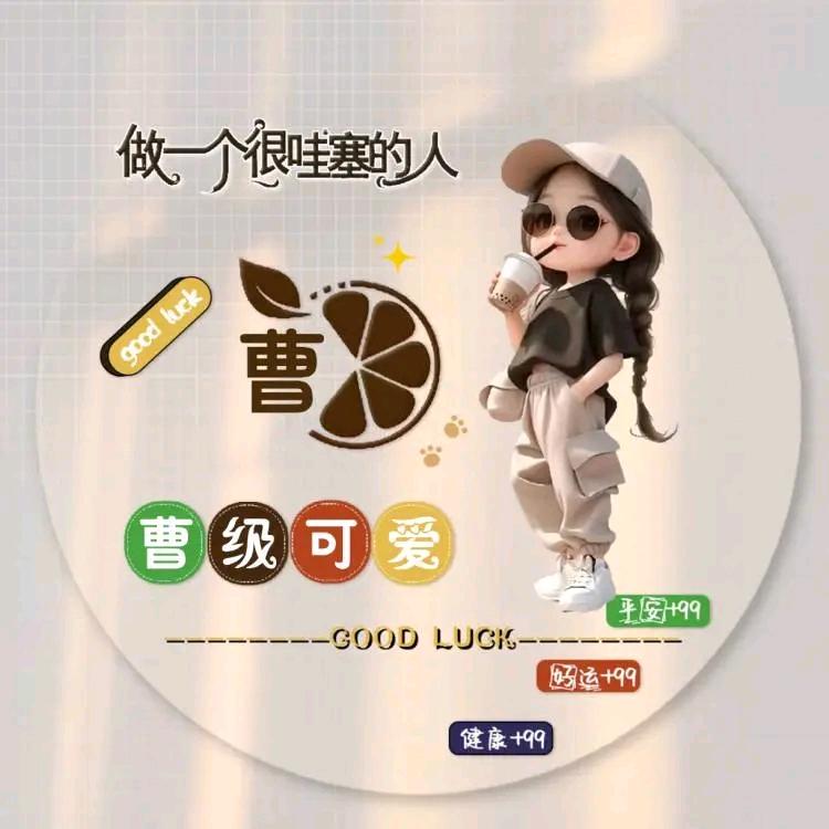 宁夏冷菜.曹国治