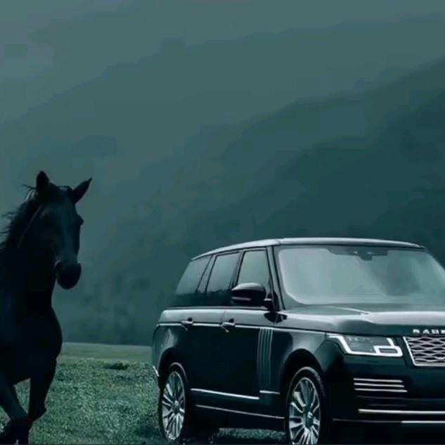 @MPL——རྒྱལ་👑