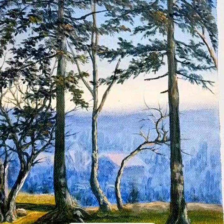 泗阳杨哥油画