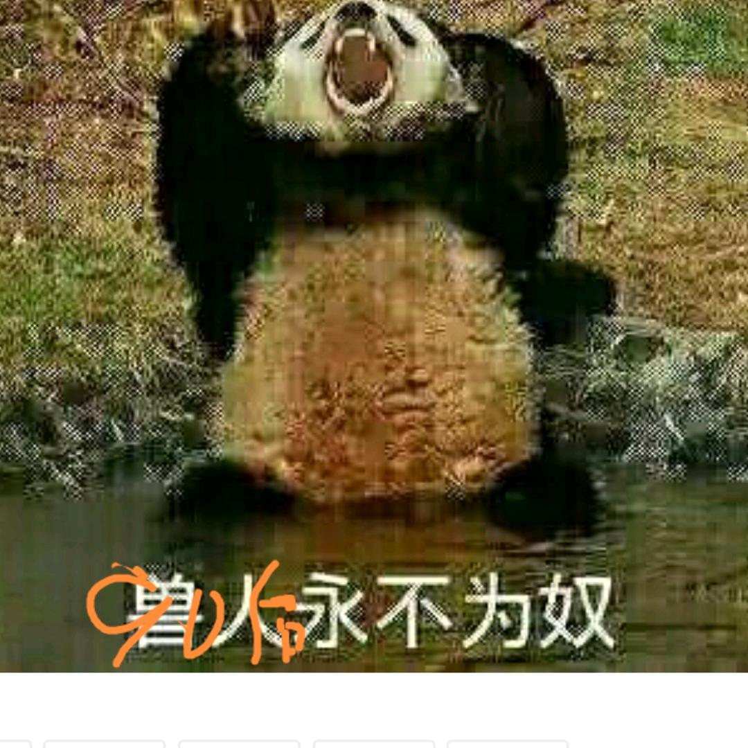 吉林炒家裸辞编制朱春九
