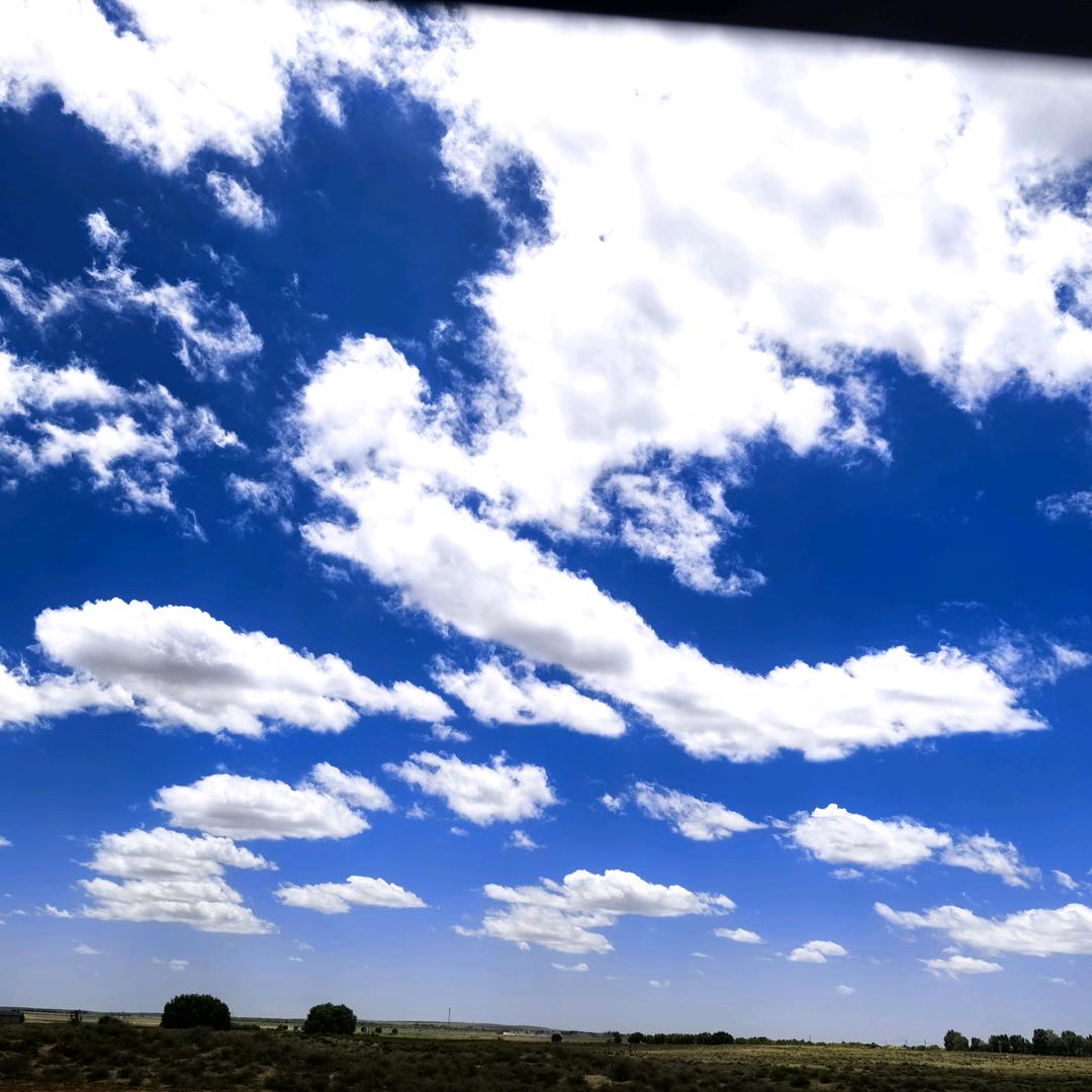 乘风破浪🌵🍀冲云霄💐🌷