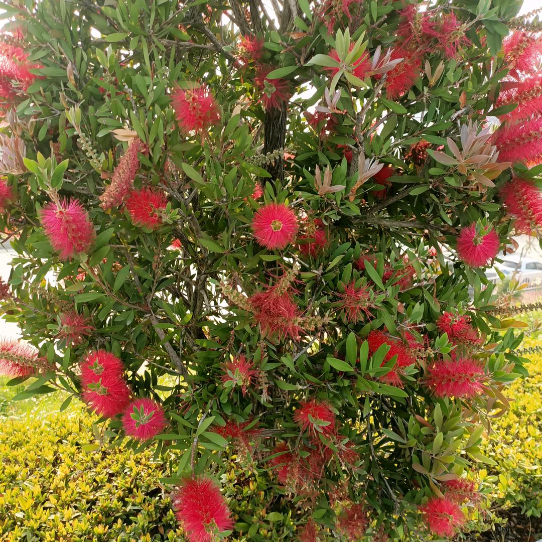 春暖花开