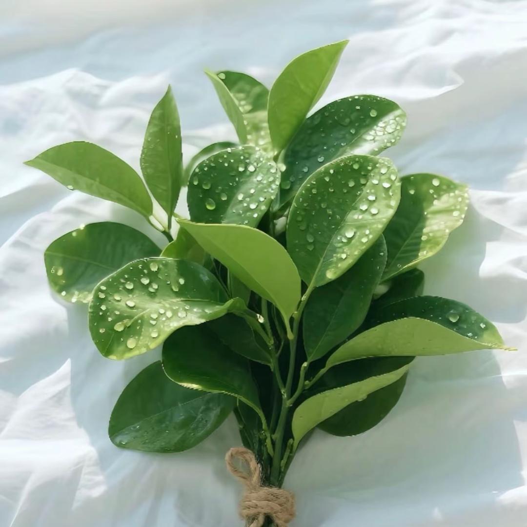 *财神爷的亲孙女❤