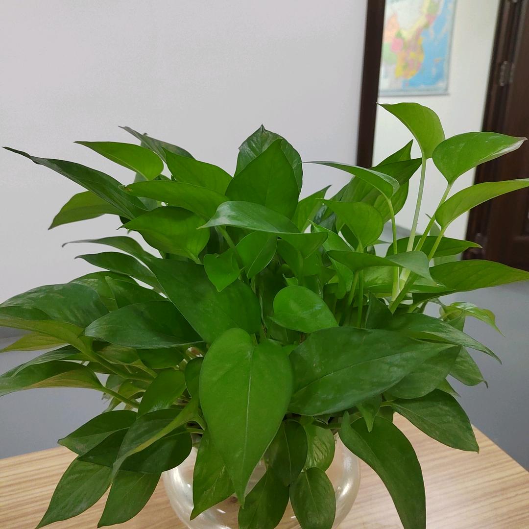 小莹