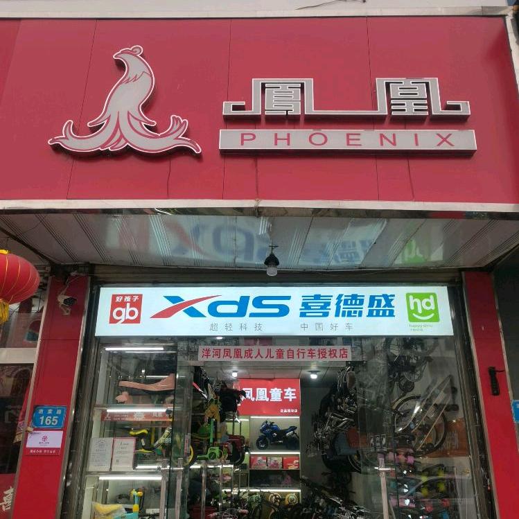 洋河 喜德盛 凤凰自行车