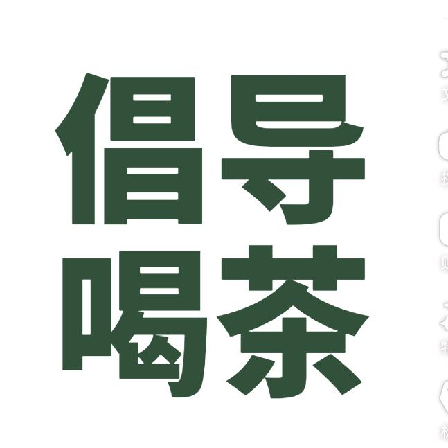 富养流浪猫