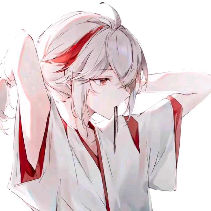 文文猫
