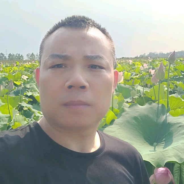 老刘做投资日常记录