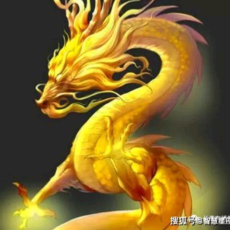 大威🇨🇳天龙🇨🇳