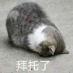 风萧萧兮易水寒。