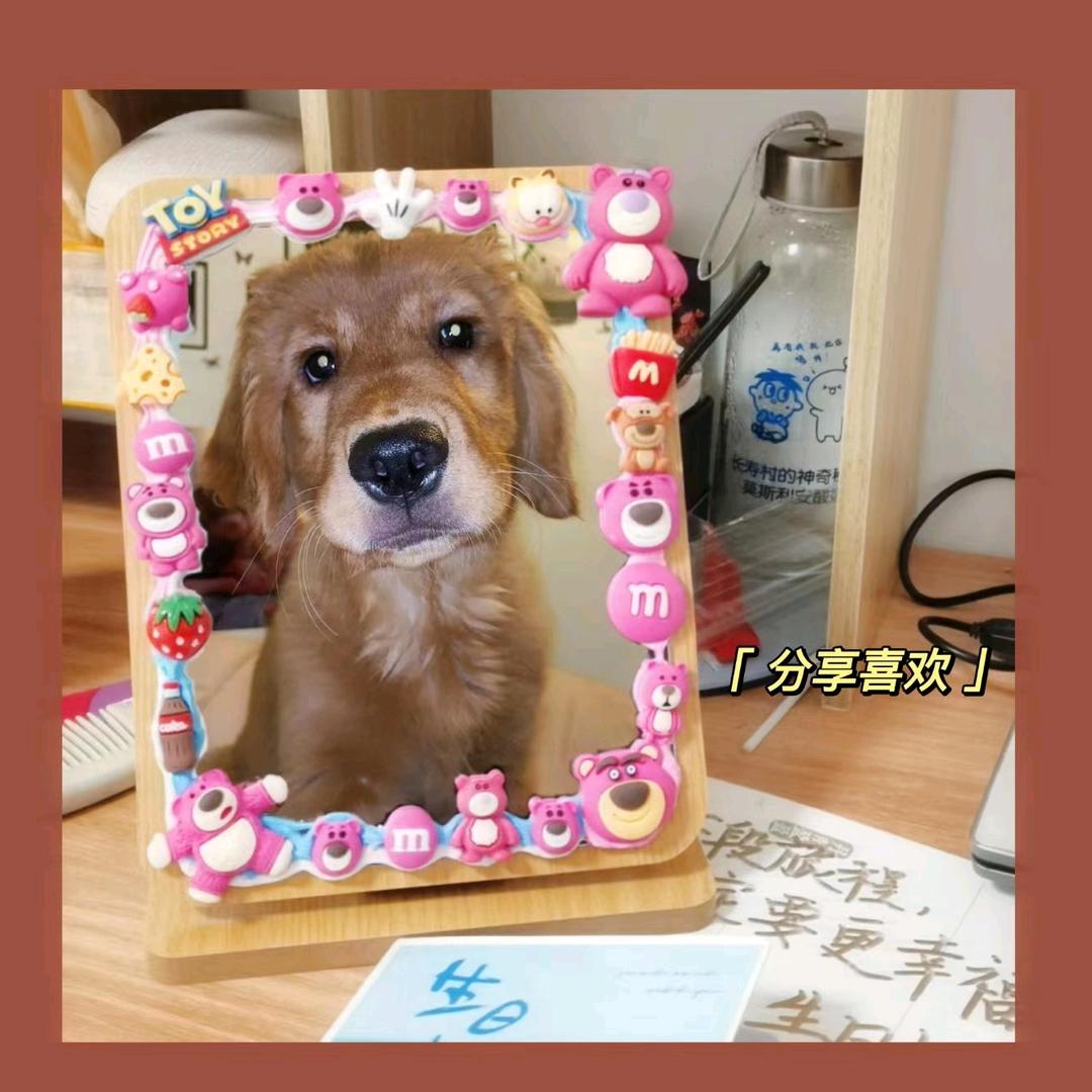 樱桃丸犊子